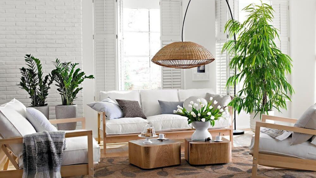 Botanical