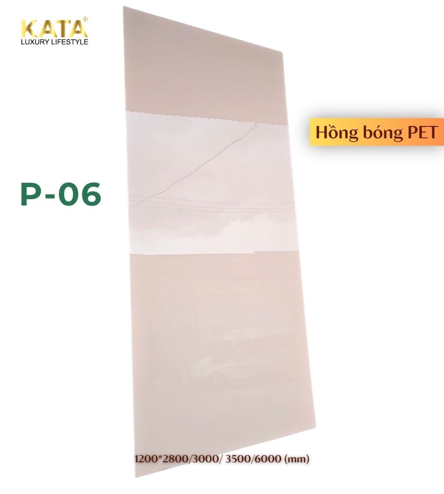 Tấm ốp than tre trơn bóng pet P-06